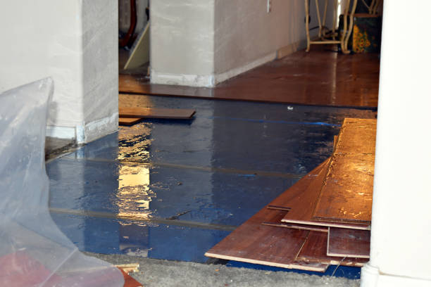 Professional Water Damage Restoration technician working in Spangle, WA