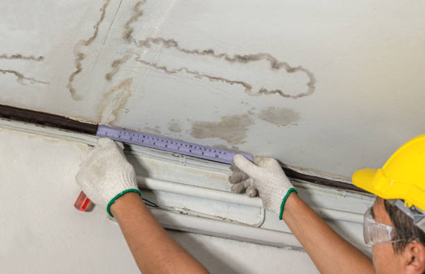 Reliable Water Damage Restoration contractor in Spangle, WA by Water Damage Irwin